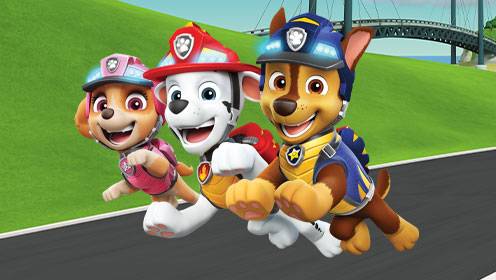 Paw Patrol S07 B02